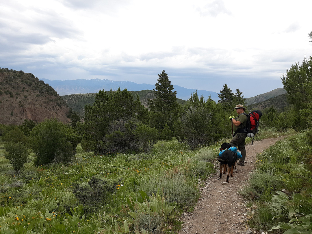 Stansbury Front Trail景点图片