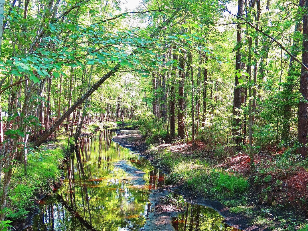 Walterboro Wildlife Sanctuary景点图片