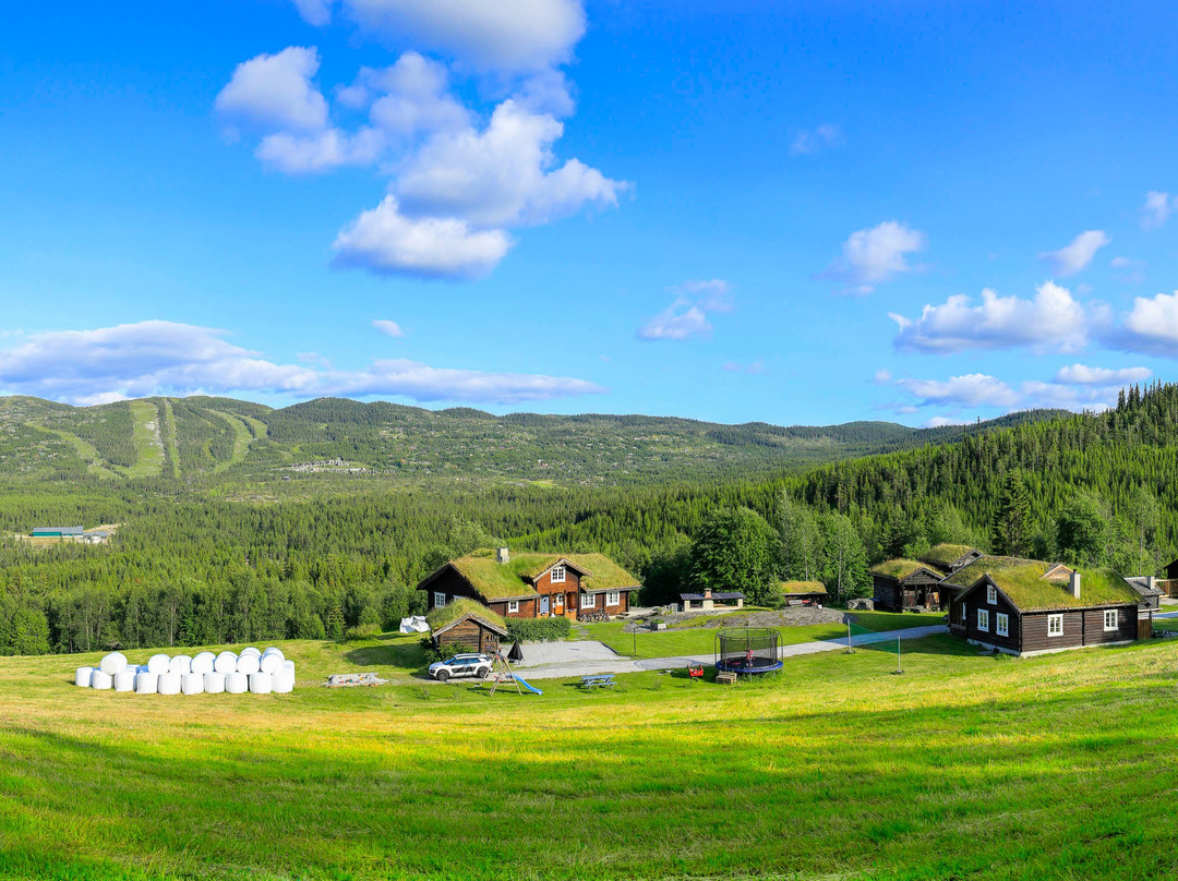 Bjørnerud Fjellgard景点图片