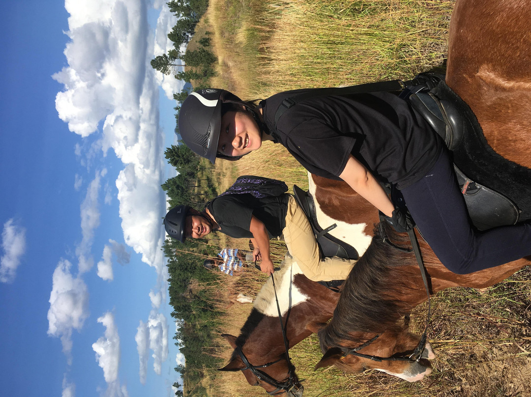 Fiji Horse Treks with Total Wellness Fiji-纳迪市必去景点