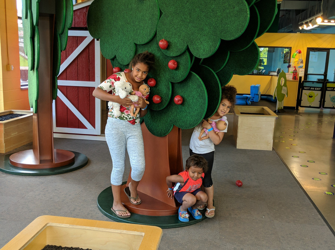 Akron Children's Museum-阿克伦必去景点