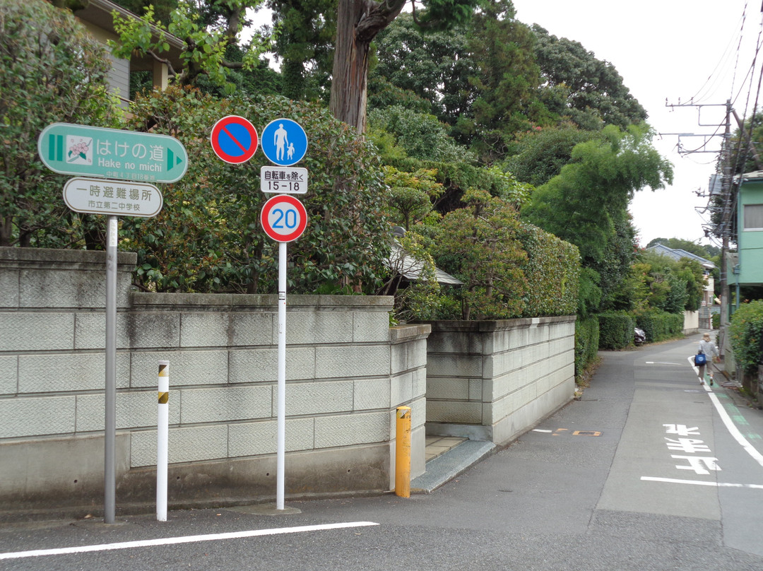 Hake no Michi-小金井市必去景点