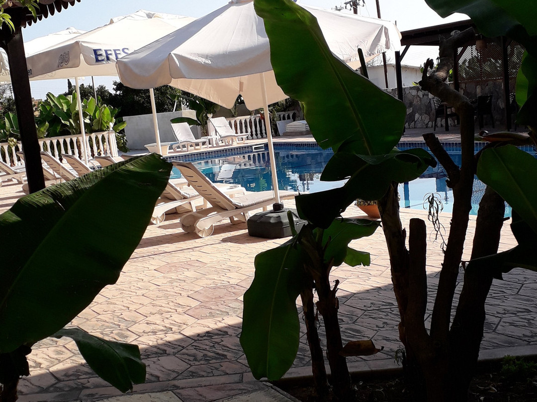 Club Alda Hotel主图