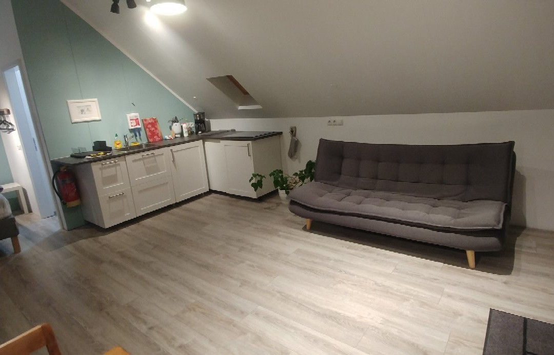 Brunir Horse-阿克雷里必去景点