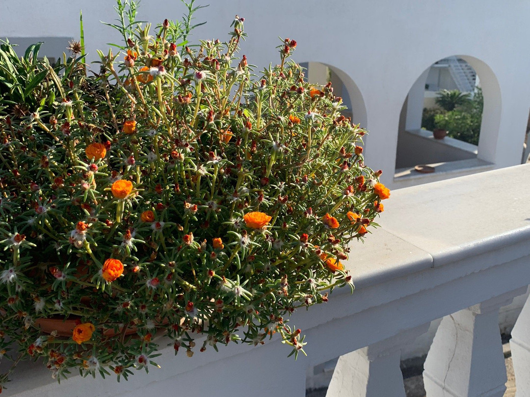 Villa Kalomira主图