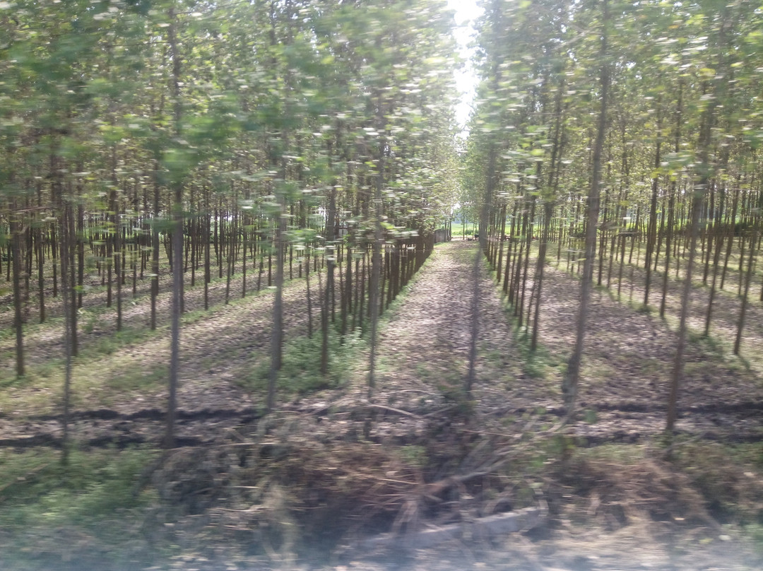 Hotel WTI Airport主图