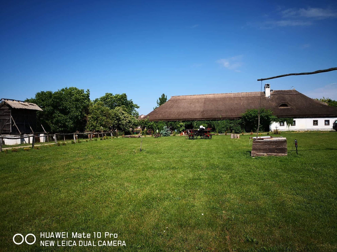 Mecser旅游攻略图片