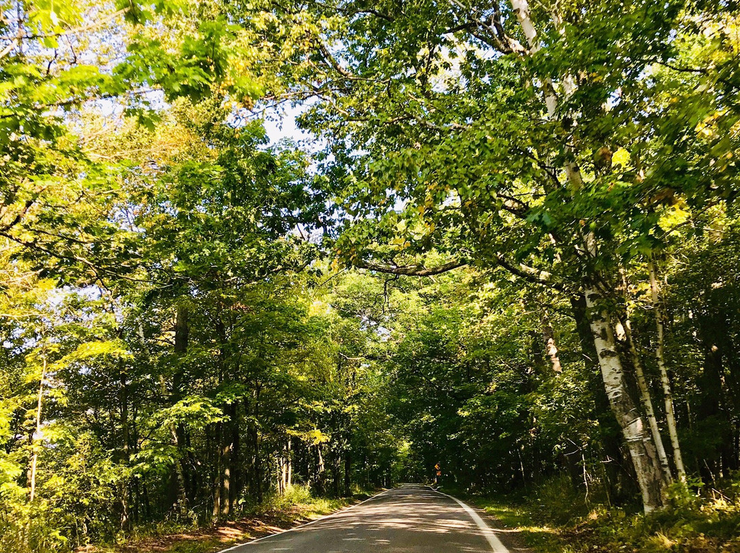 Blue Sky Rentals-特拉弗斯城必去景点
