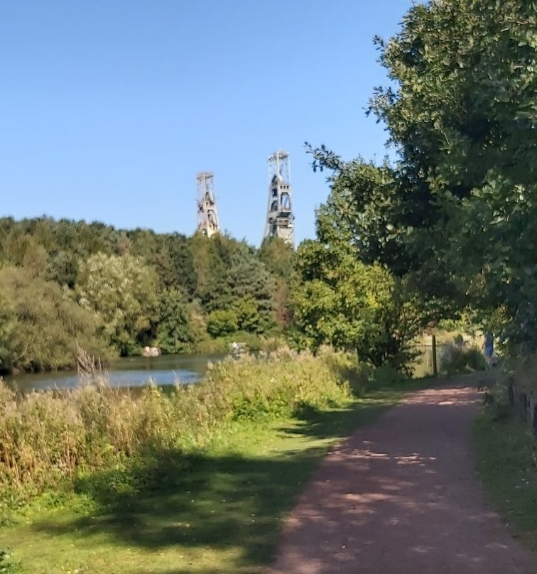 Vicar Water Country Park景点图片