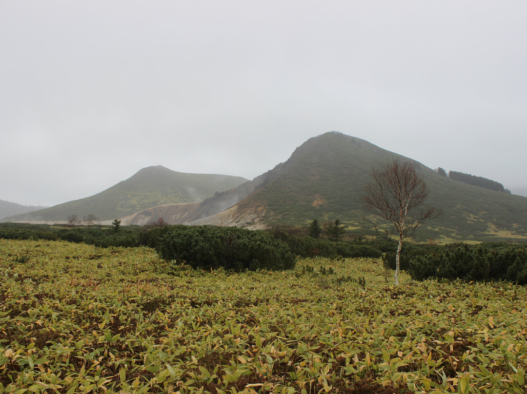 Caldera of Volcano Golovnin景点图片