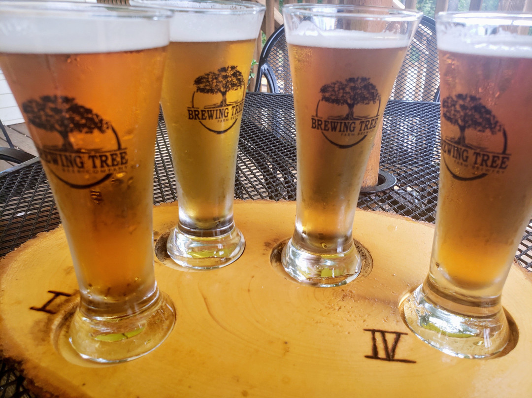 Brewing Tree Beer Company-Afton必去景点