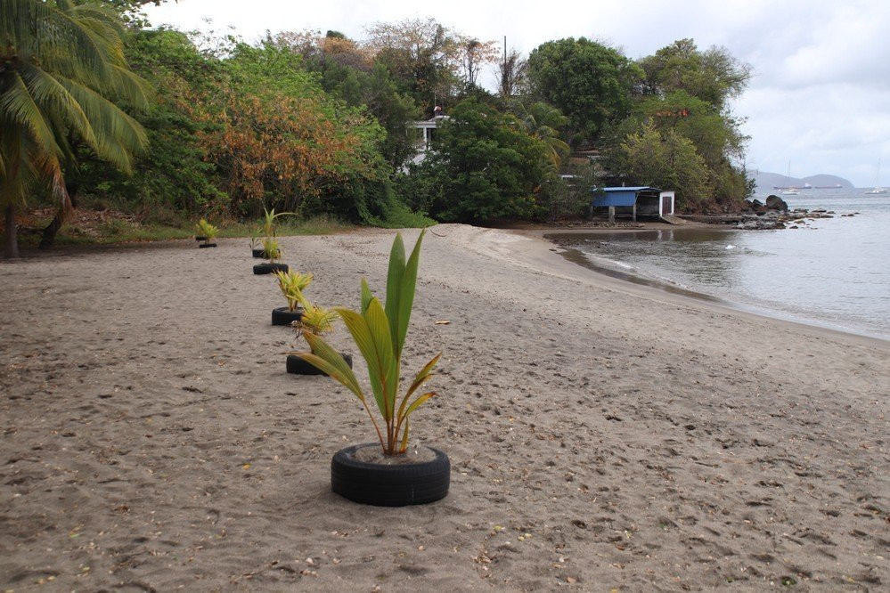 Plage de Madiana-Schoelcher必去景点