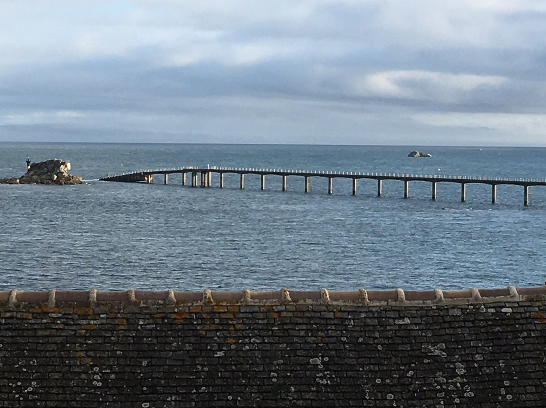 Ile-de-Batz酒店住宿-Logis Hôtel les Chardons Bleus Rest. le Bistrot de la Mer