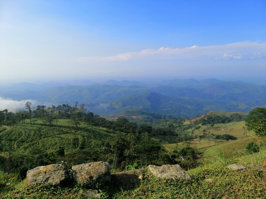 The Planters House主图