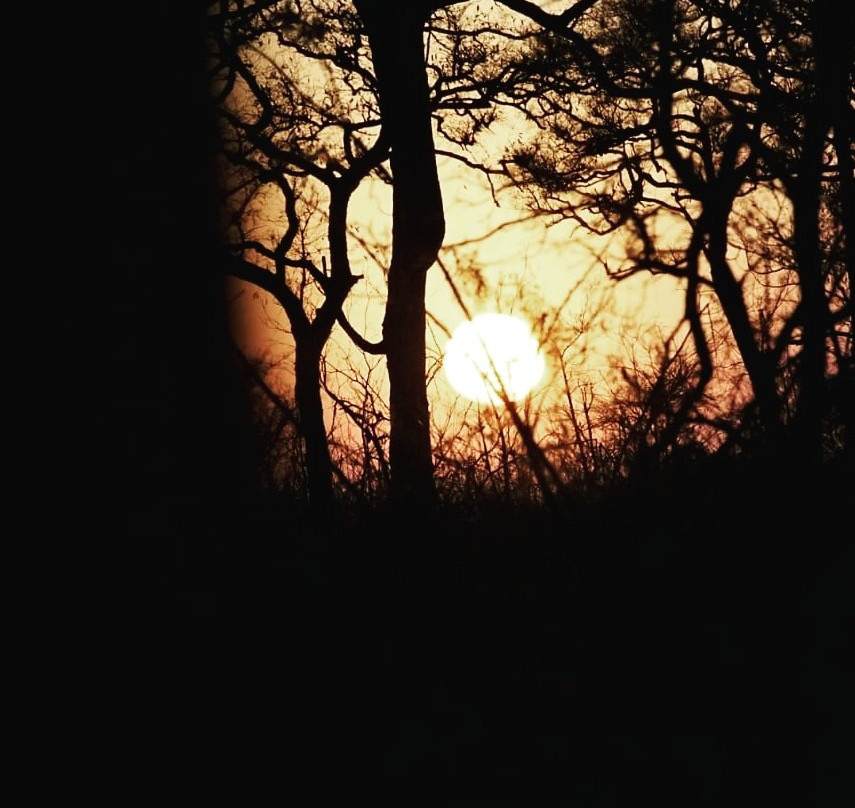 Legend Safaris-克鲁格国家公园必去景点