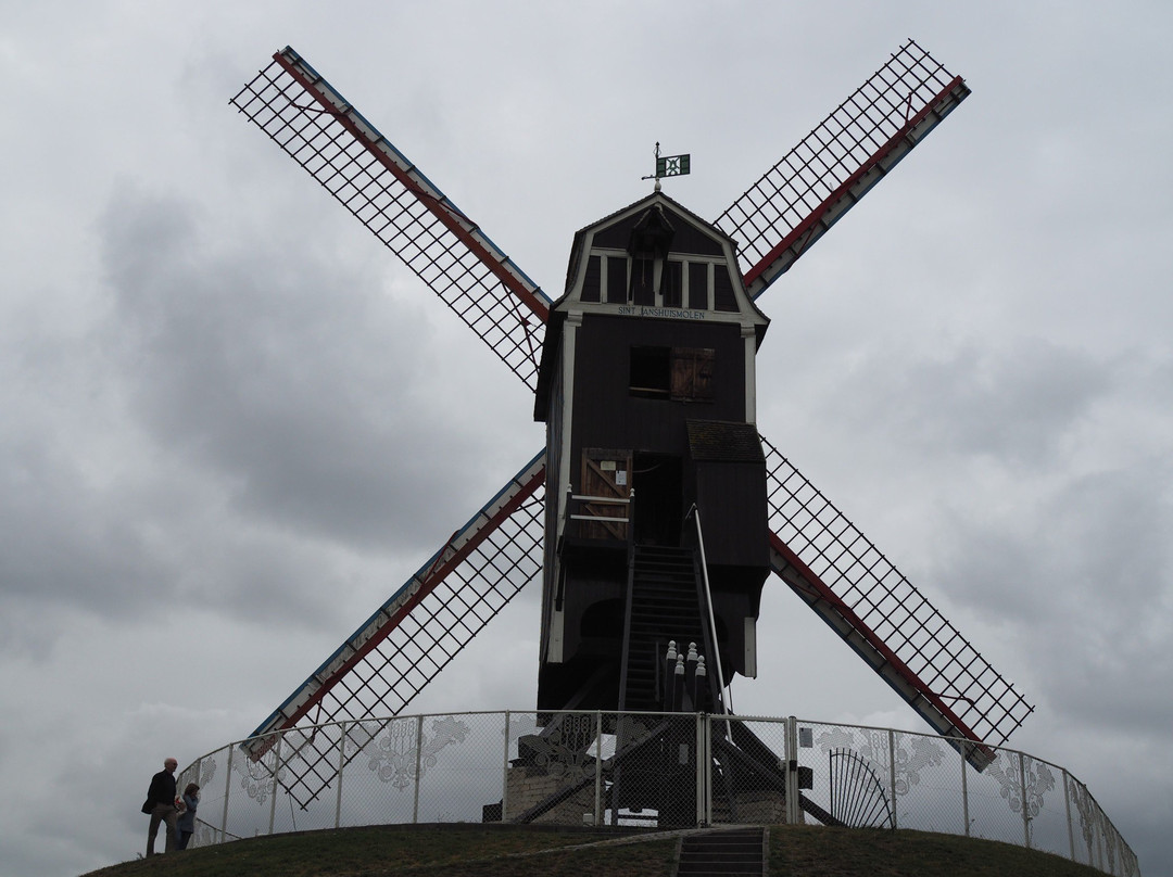 Windmills of Bruges景点图片