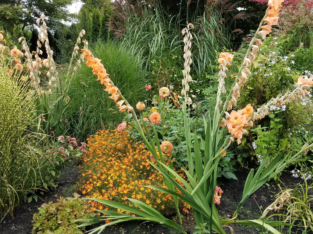 Evergreen Arboretum & Gardens-埃弗里特必去景点