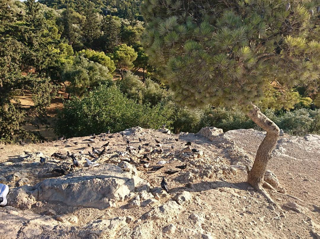 Areopagus景点图片