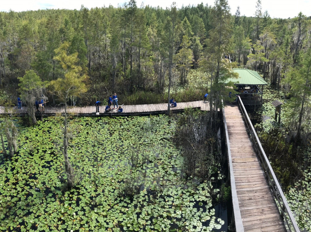 Grand Bay Wildlife Management Area-瓦尔多斯塔必去景点