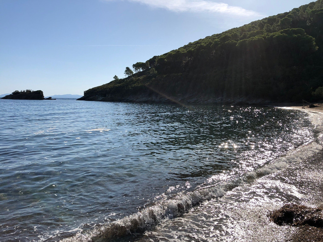 Spiaggia di Istia景点图片