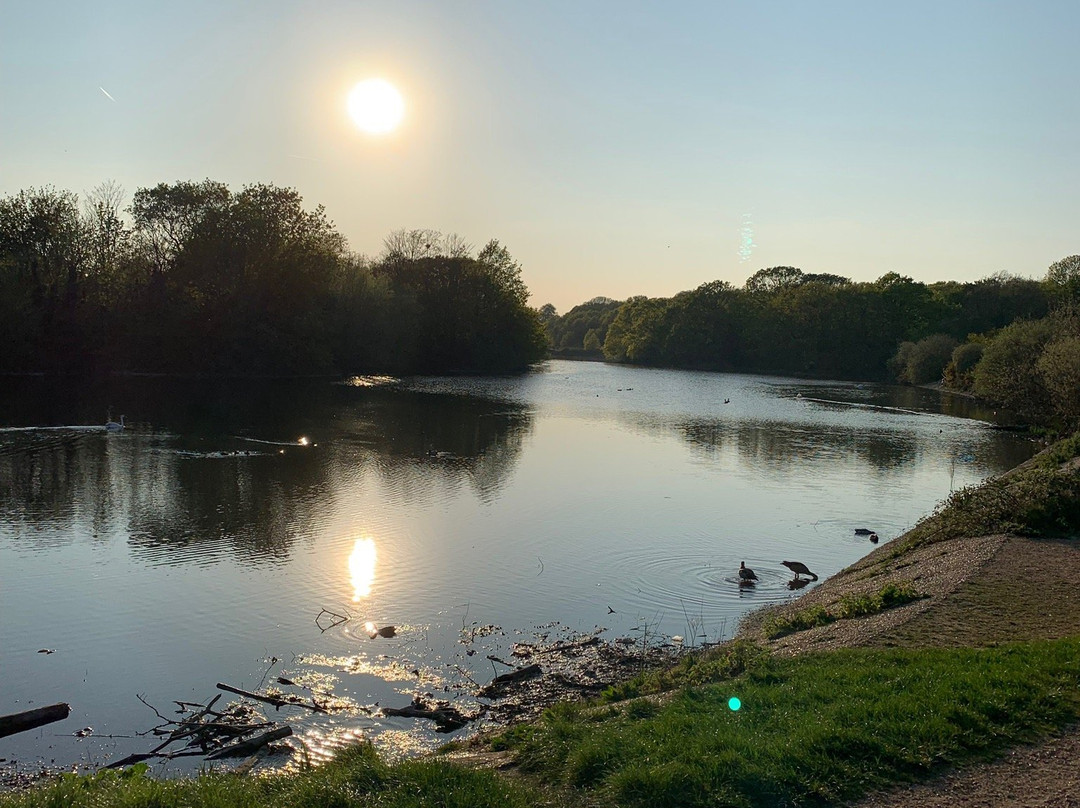 温斯特公园-伦敦必去景点