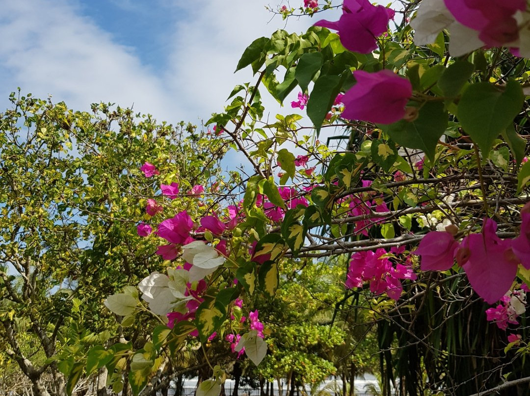 Mankwadze旅游攻略图片