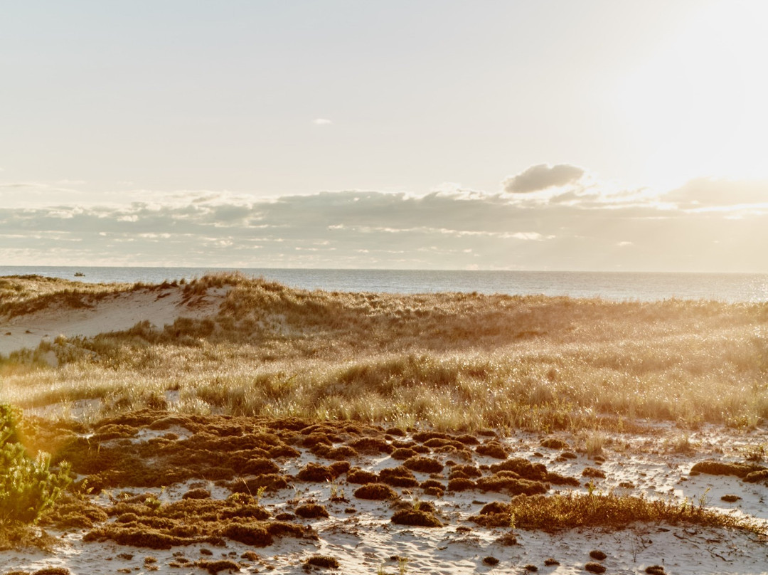 Shou Sugi Ban House主图