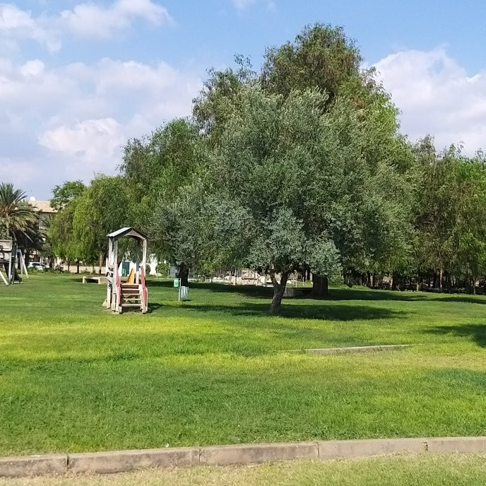 Parco Urbano Falcone - Borsellino景点图片