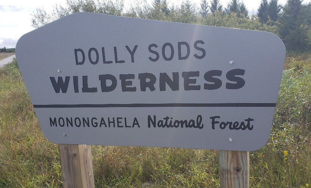 Dolly Sods Wilderness Area景点图片