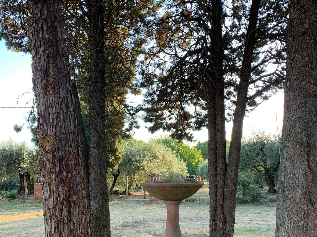 Chiesa di Sant'Ansano-Petrignano必去景点