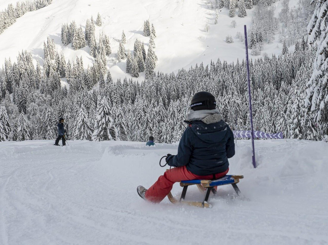 Piste De Luge景点图片