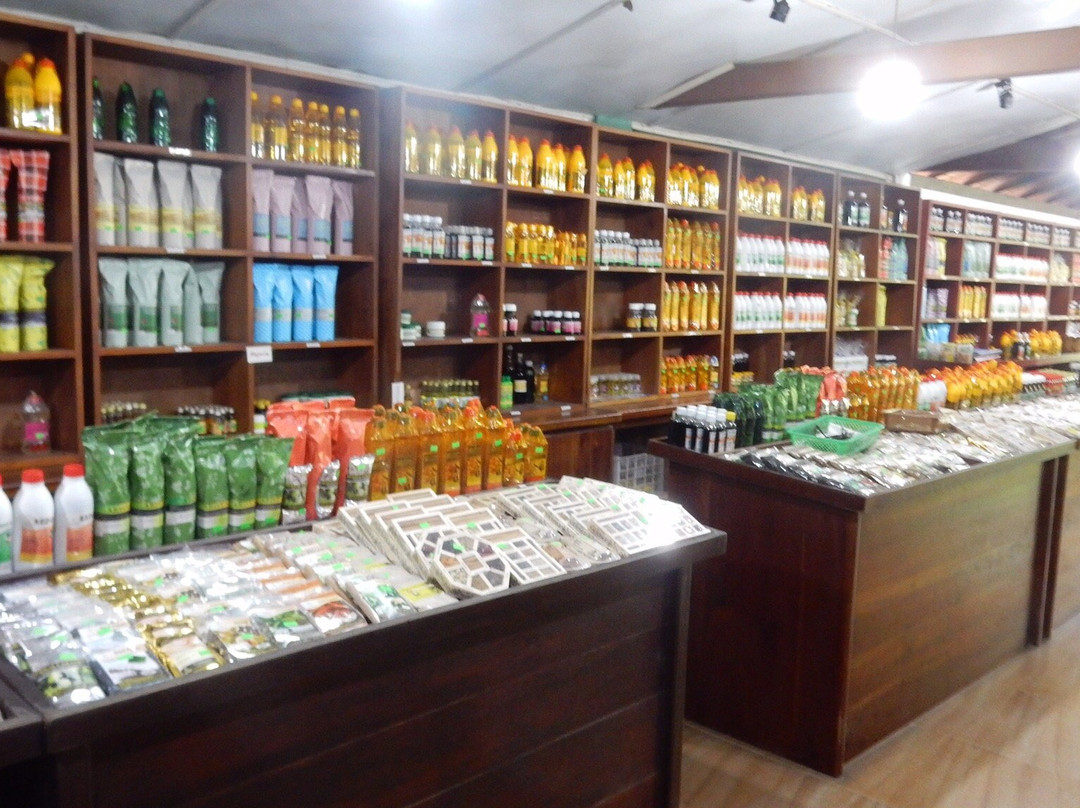 The Island Spice Grove景点图片