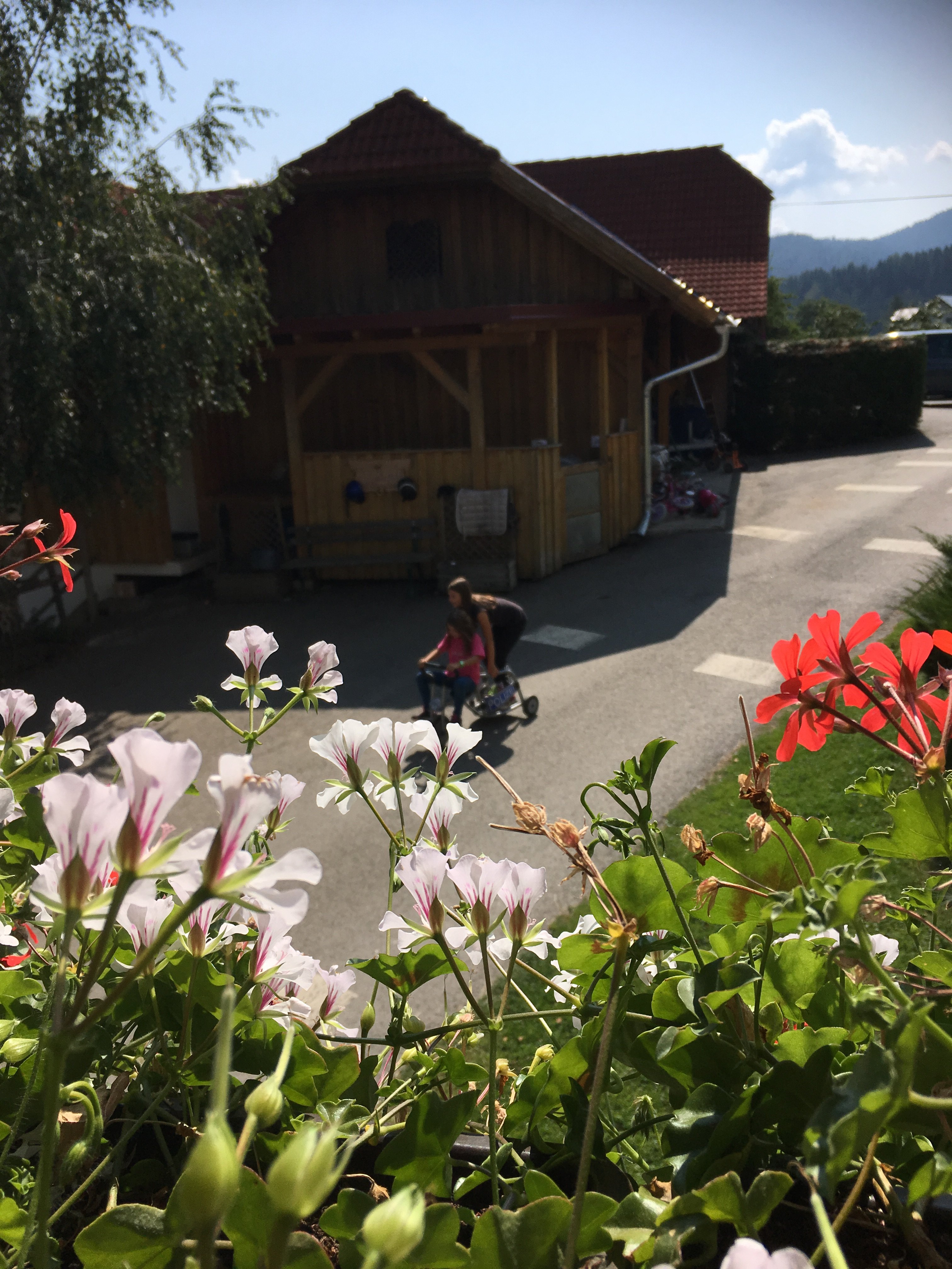Gasthof Seeblick-官方