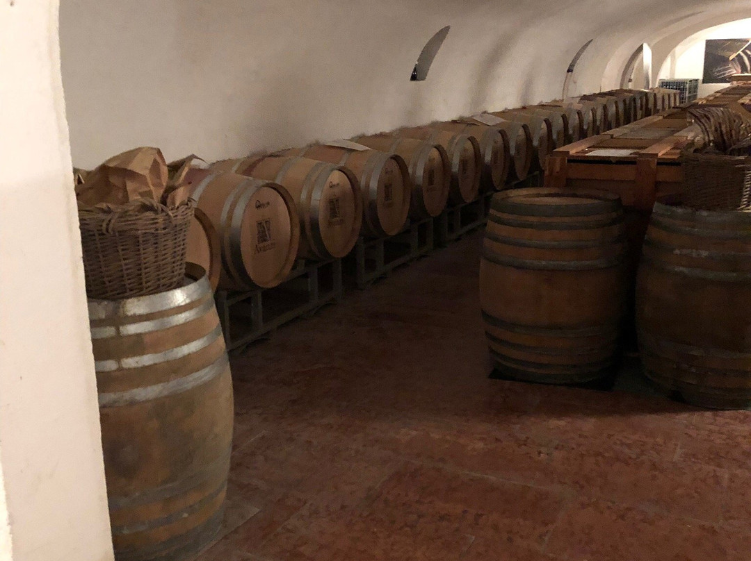 Cantina Avanzi景点图片