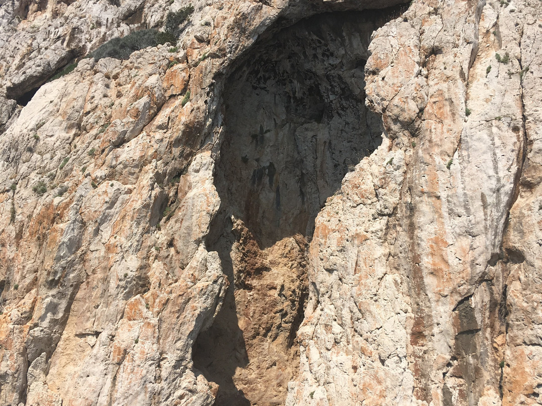L'Area Naturale Marina Protetta Tavolara - Punta Coda Cavallo-奥尔比亚必去景点