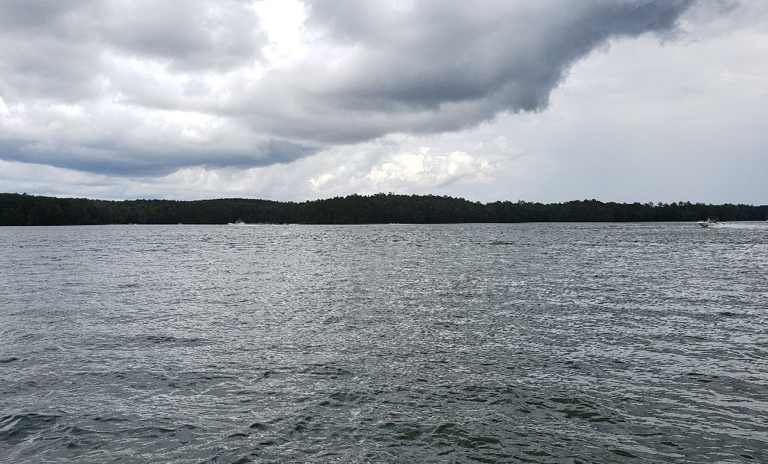 Lake Wedowee/R. L. Harris Reservoir-Wedowee必去景点