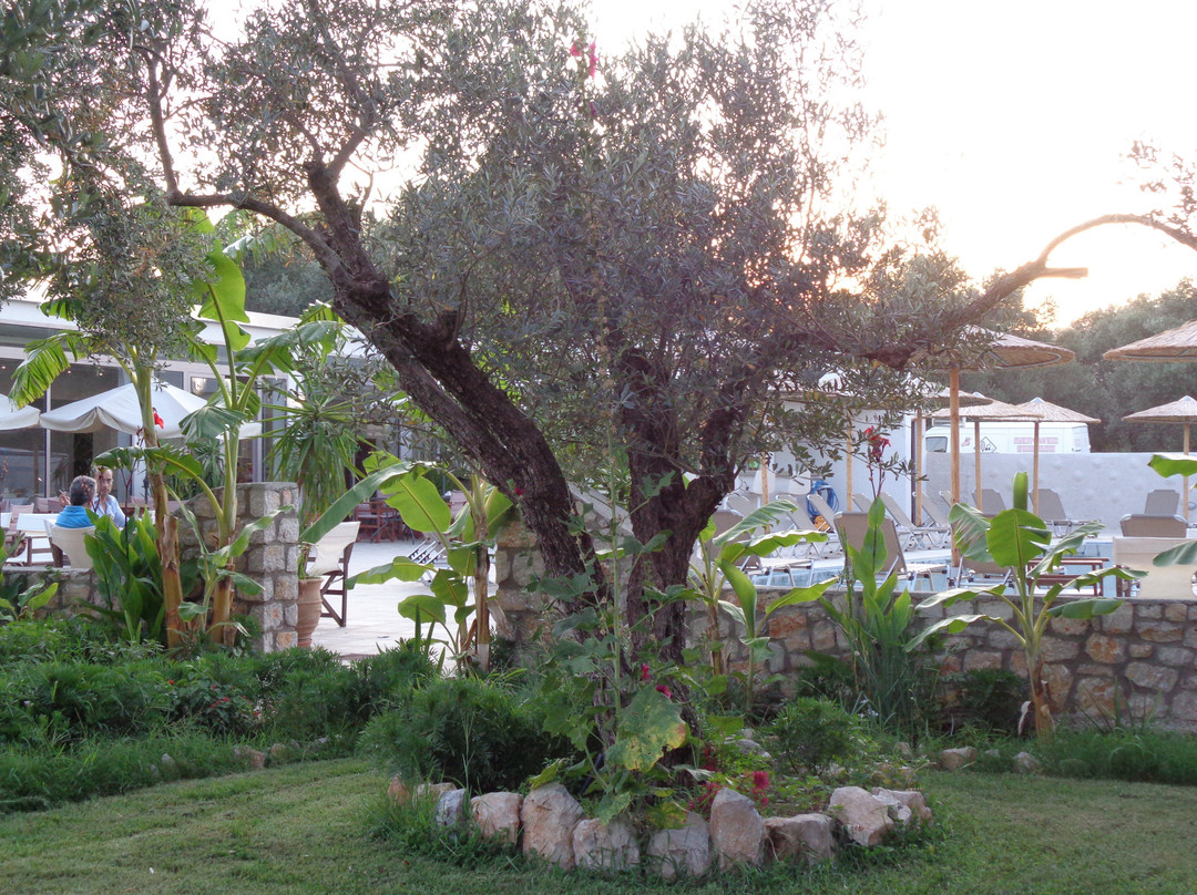 Saint George Resort主图