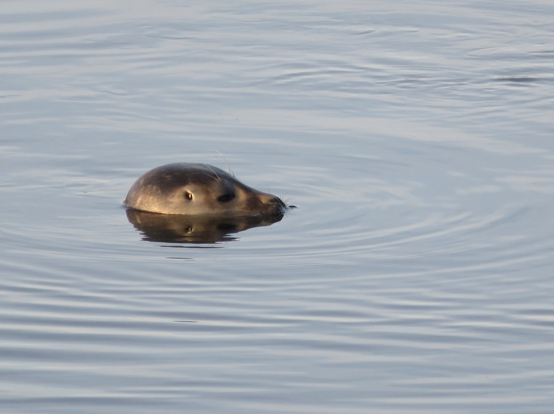 Westview Marina-Earith必去景点