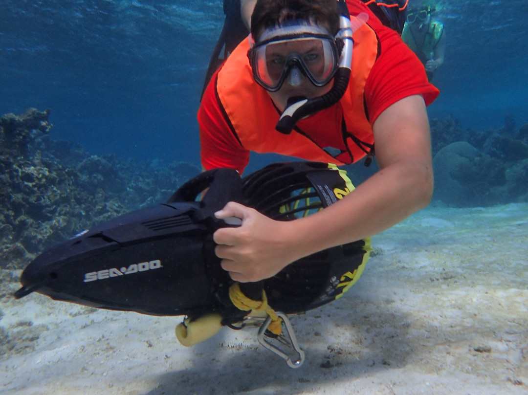 Aruba Bob Snorkel & Scuba-阿鲁巴岛必去景点