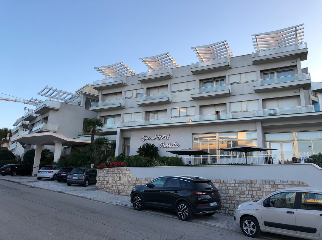 帕瑟图大酒店主图