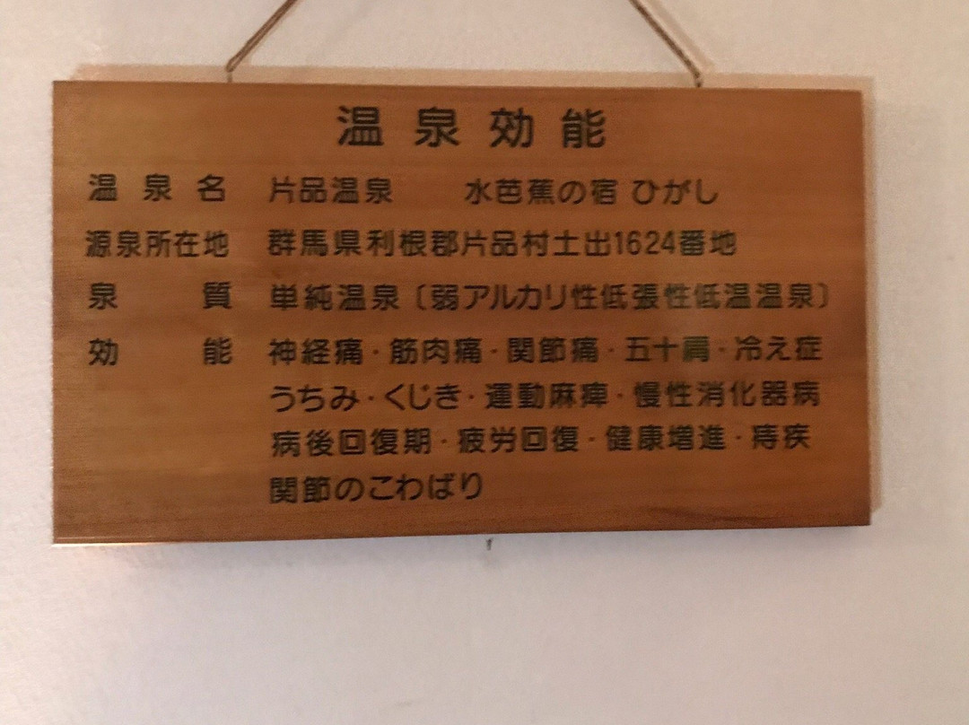 Higashi主图
