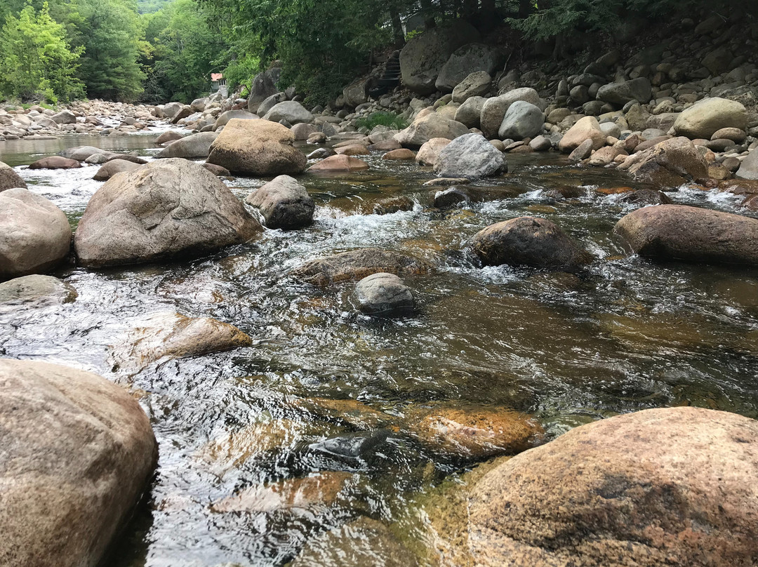 Riverside Inn Bed and Breakfast主图