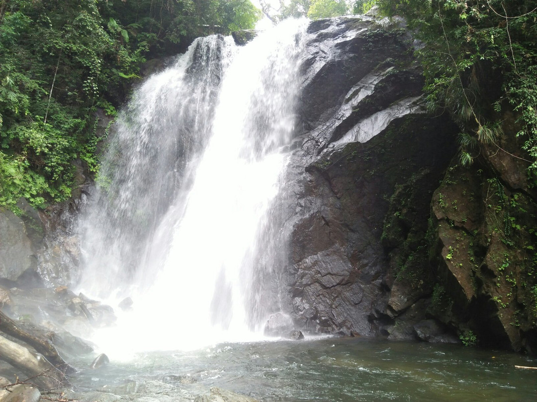 Tropical Rain Forest Sinharaja-Neluwa必去景点