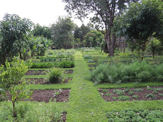 Lewa Wilderness主图