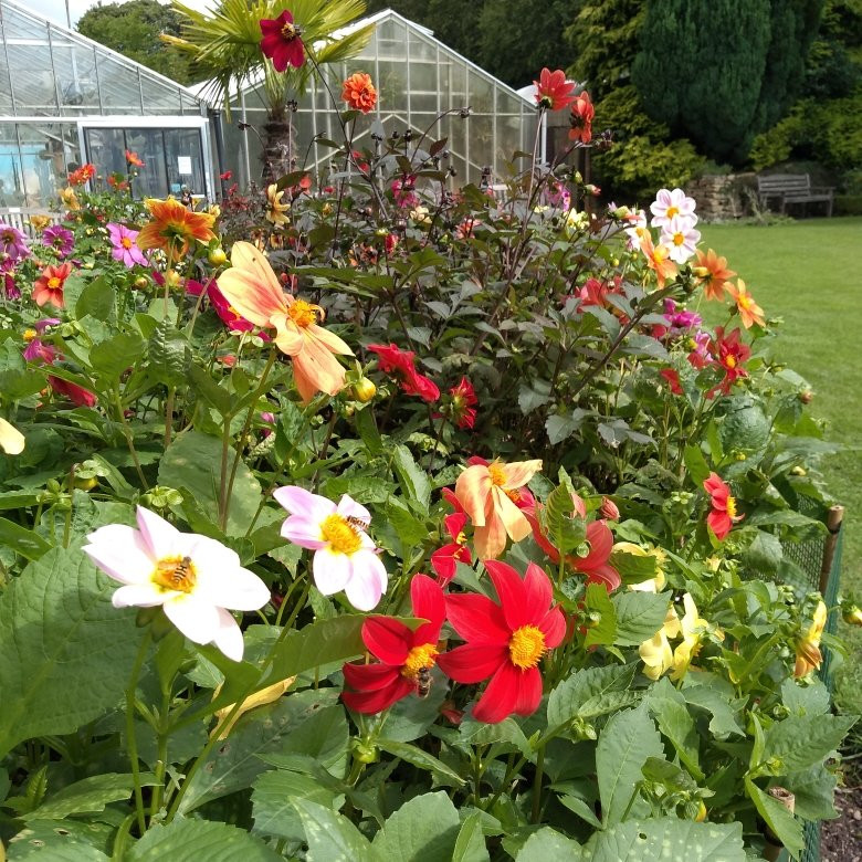 Durham University Botanic Garden-达勒姆必去景点