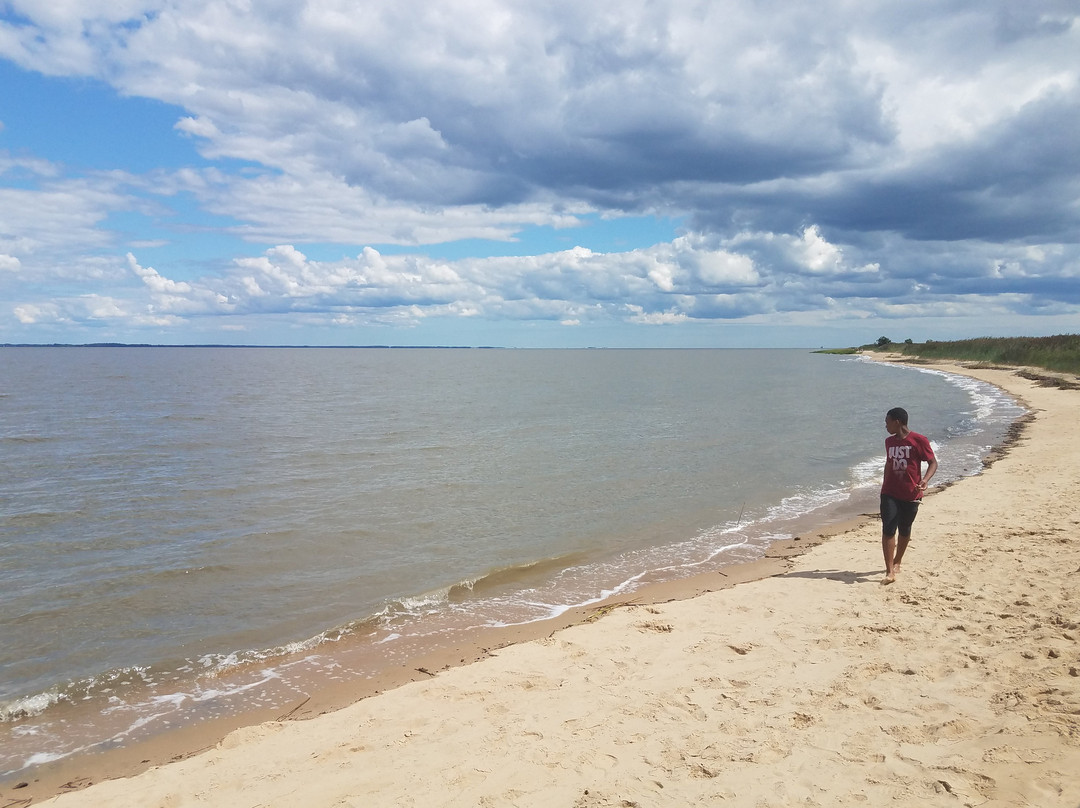 Woodland Beach-Smyrna必去景点