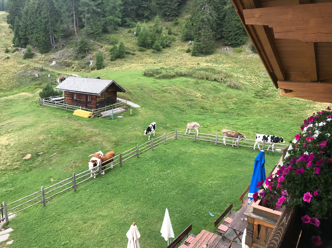 Reisenschuh酒店住宿-Gasthaus Furlhutte