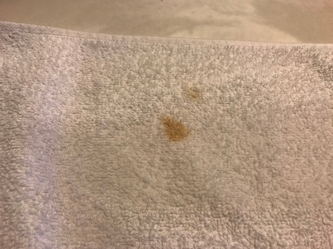 Super 8 by Wyndham Kimball主图