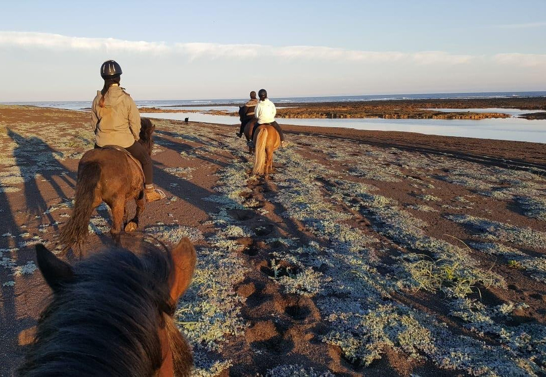 GobbiGobb Horse Center-Stokkseyri必去景点