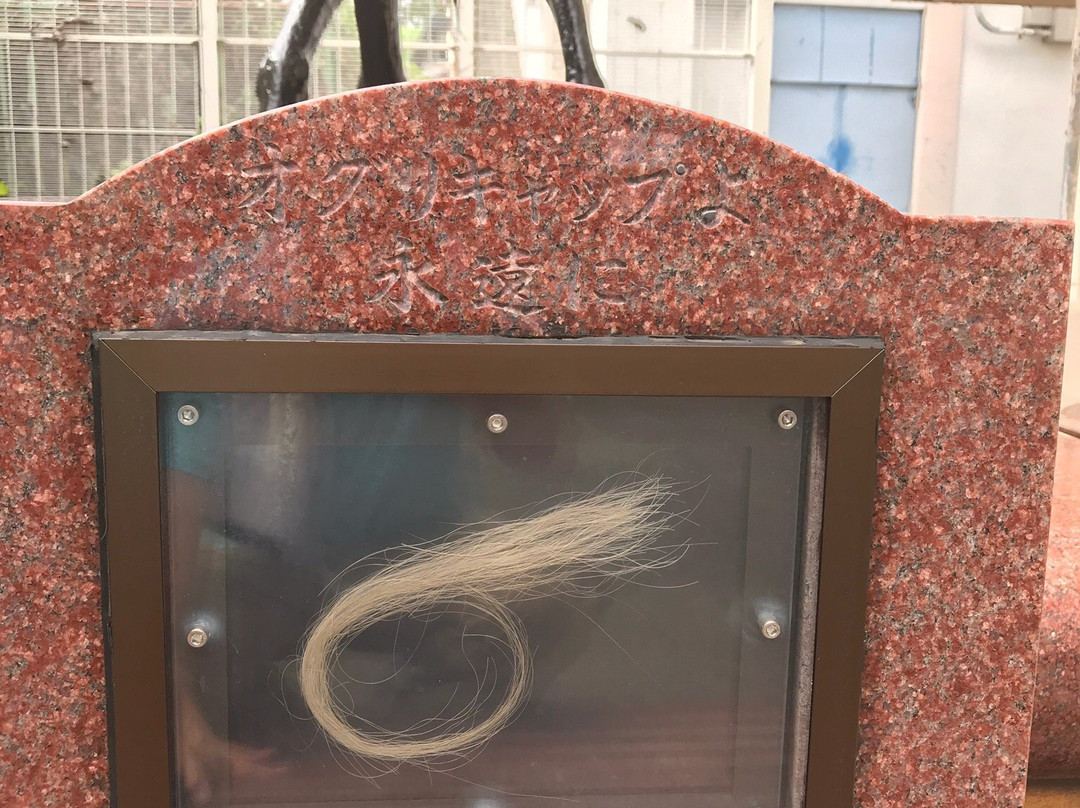 Kasamatsu Keiba Racetrack-笠松町必去景点